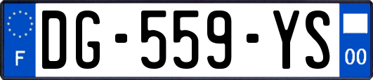 DG-559-YS