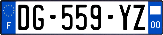 DG-559-YZ