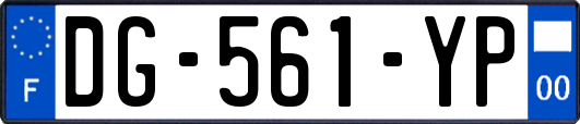 DG-561-YP