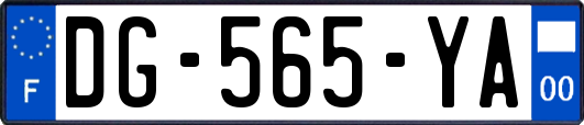DG-565-YA