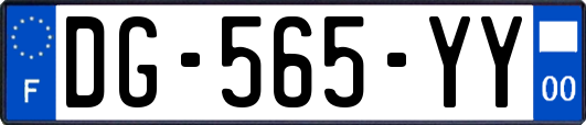DG-565-YY