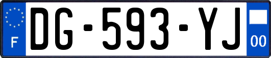 DG-593-YJ