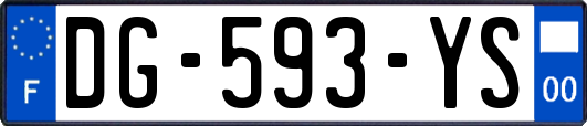 DG-593-YS