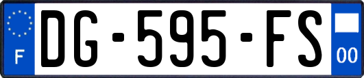 DG-595-FS