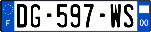 DG-597-WS