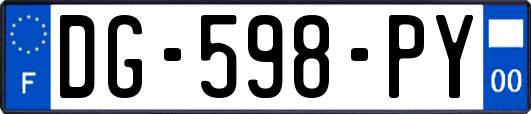 DG-598-PY