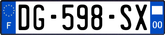DG-598-SX