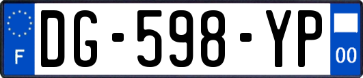 DG-598-YP