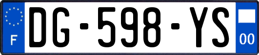 DG-598-YS