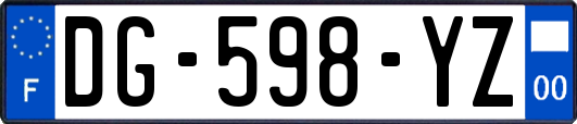 DG-598-YZ