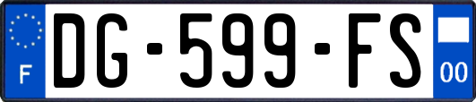 DG-599-FS