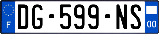 DG-599-NS