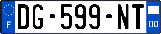DG-599-NT
