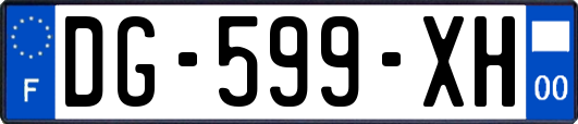 DG-599-XH