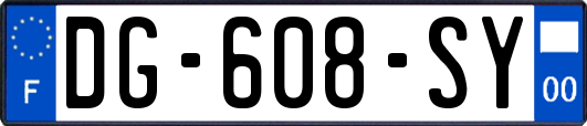 DG-608-SY