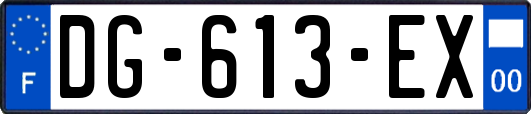 DG-613-EX