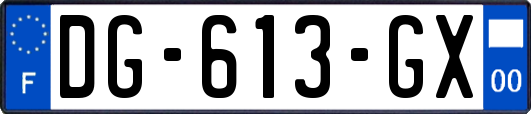 DG-613-GX