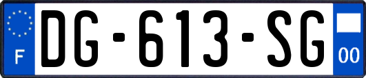 DG-613-SG