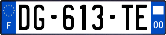 DG-613-TE