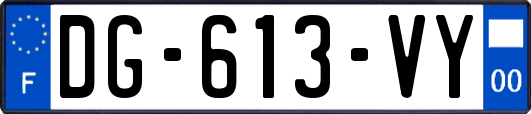 DG-613-VY