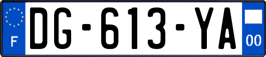 DG-613-YA