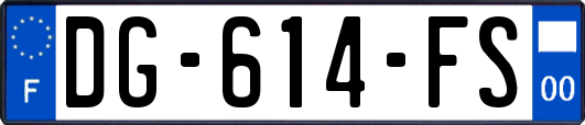 DG-614-FS