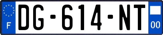 DG-614-NT