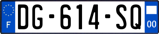 DG-614-SQ