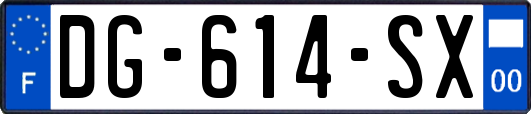 DG-614-SX