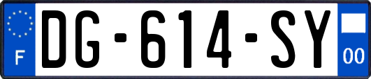 DG-614-SY