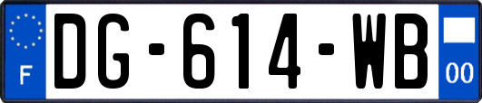 DG-614-WB