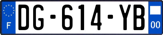DG-614-YB