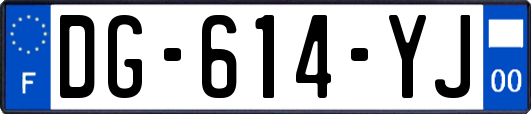 DG-614-YJ