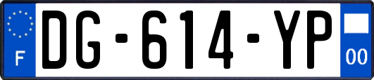 DG-614-YP