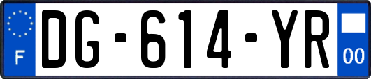 DG-614-YR