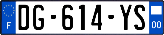 DG-614-YS