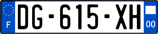 DG-615-XH