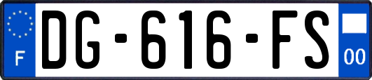 DG-616-FS