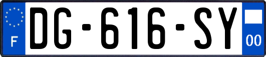DG-616-SY