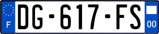 DG-617-FS