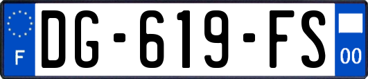 DG-619-FS