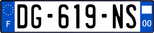 DG-619-NS