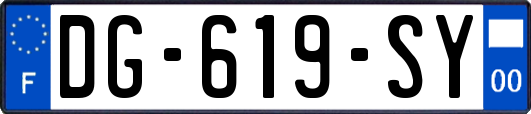 DG-619-SY