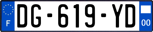 DG-619-YD