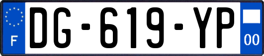 DG-619-YP