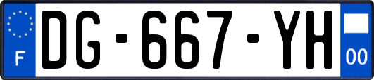 DG-667-YH