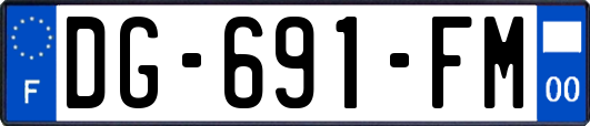 DG-691-FM