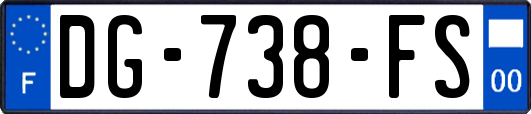 DG-738-FS