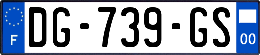 DG-739-GS