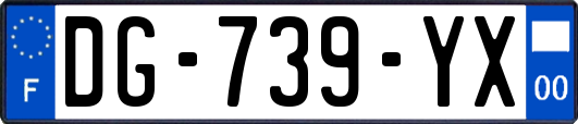 DG-739-YX